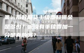 集运指数期货手续费和佣金是多少？听说有手续费加一分是真的吗？