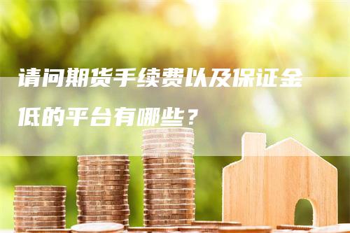 请问期货手续费以及保证金低的平台有哪些？