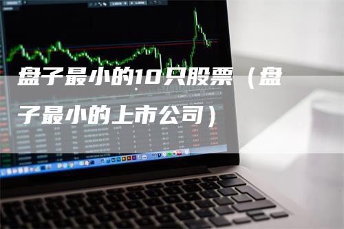 盘子最小的10只股票（盘子最小的上市公司）