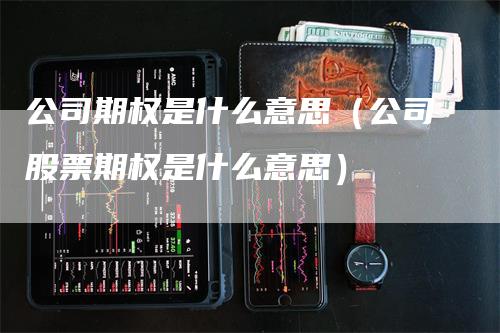 公司期权是什么意思（公司股票期权是什么意思）