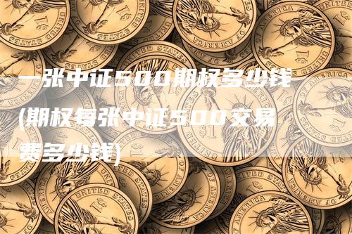 一张中证500期权多少钱(期权每张中证500交易费多少钱)