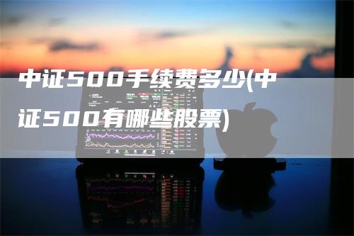 中证500手续费多少(中证500有哪些股票)