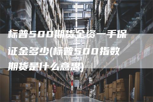 标普500期货全资一手保证金多少(标普500指数期货是什么意思)