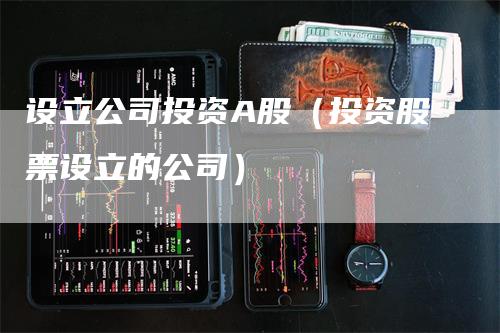 设立公司投资A股（投资股票设立的公司）