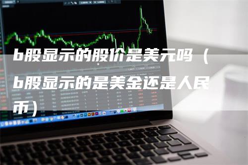 b股显示的股价是美元吗（b股显示的是美金还是人民币）