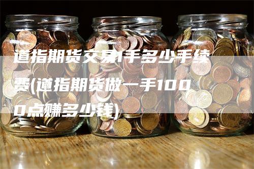 道指期货交易1手多少手续费(道指期货做一手1000点赚多少钱)