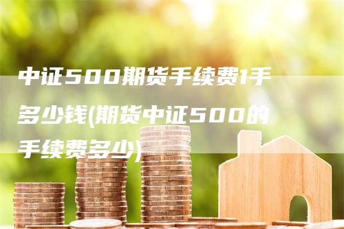 中证500期货手续费1手多少钱(期货中证500的手续费多少)