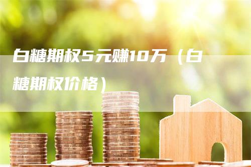 白糖期权5元赚10万（白糖期权价格）