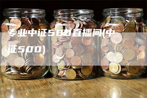 专业中证500直播间(中证500)