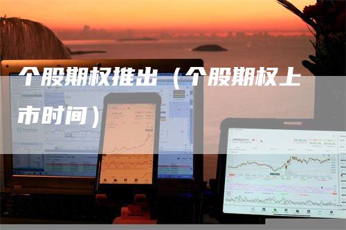 个股期权推出（个股期权上市时间）