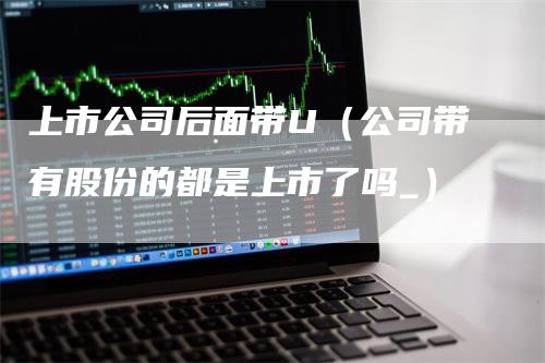 上市公司后面带U（公司带有股份的都是上市了吗_）