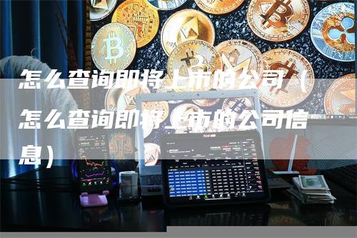 怎么查询即将上市的公司（怎么查询即将上市的公司信息）