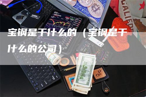 宝钢是干什么的（宝钢是干什么的公司）