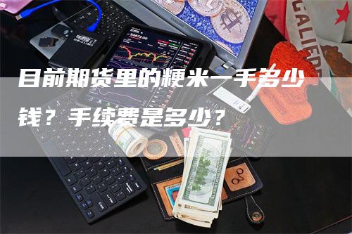 目前期货里的粳米一手多少钱？手续费是多少？