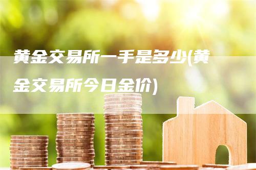 黄金交易所一手是多少(黄金交易所今日金价)