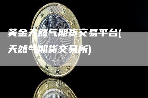 黄金天然气期货交易平台(天然气期货交易所)