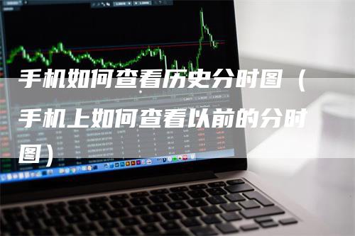 手机如何查看历史分时图（手机上如何查看以前的分时图）