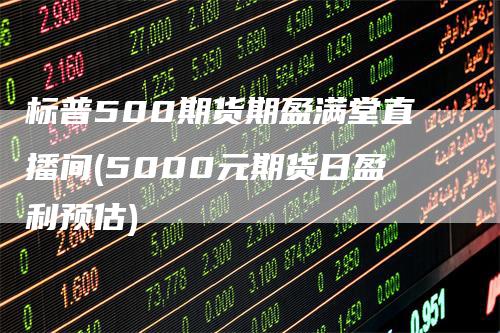 标普500期货期盈满堂直播间(5000元期货日盈利预估)