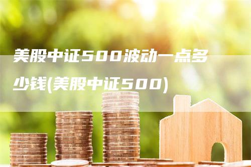 美股中证500波动一点多少钱(美股中证500)