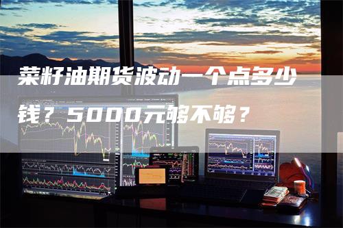 菜籽油期货波动一个点多少钱？5000元够不够？