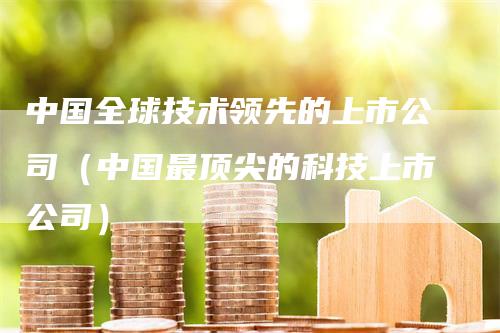 中国全球技术领先的上市公司（中国最顶尖的科技上市公司）