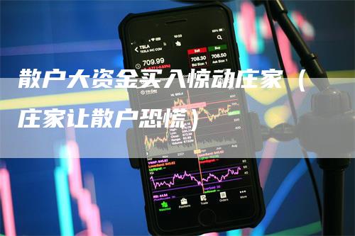 散户大资金买入惊动庄家（庄家让散户恐慌）