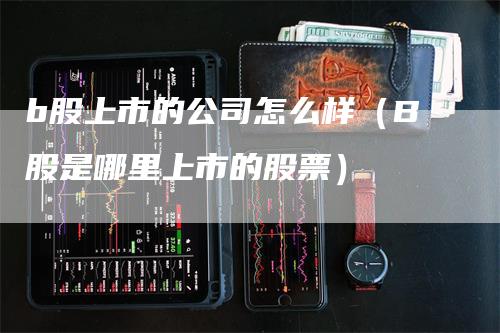 b股上市的公司怎么样（B股是哪里上市的股票）