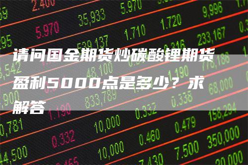 请问国金期货炒碳酸锂期货盈利5000点是多少？求解答