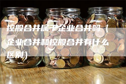 控股合并属于企业合并吗（企业合并和控股合并有什么区别）