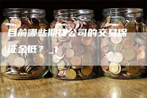 目前哪些期货公司的交易保证金低？_1