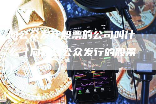 向公众发行股票的公司叫什么（向社会公众发行的股票）