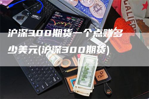 沪深300期货一个点赚多少美元(沪深300期货)