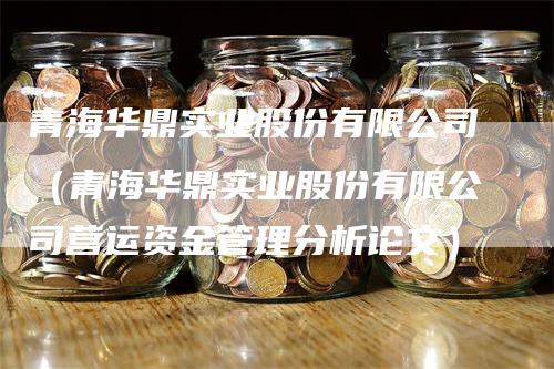 青海华鼎实业股份有限公司（青海华鼎实业股份有限公司营运资金管理分析论文）